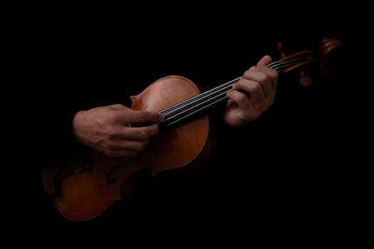 1699_violino1.jpg